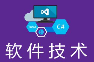 湖南中專軟件技術(shù)畢業(yè)生升學(xué)指南 聚焦軟件外包服務(wù)的對(duì)口單招學(xué)校